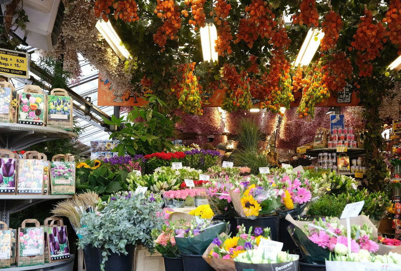 Une des visites incontournables d'Amsterdam - Le marché aux fleurs - Blog au gré des continents 