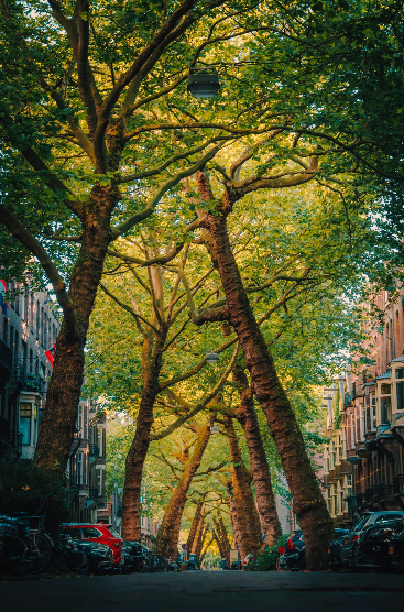 Visites incontournables à Amsterdam - Se loger - Blog au gré des continents 