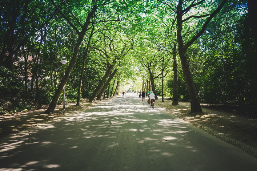 Voyage urbain aux Pays-Bas - VondelPark - Vlog au gré des continents 