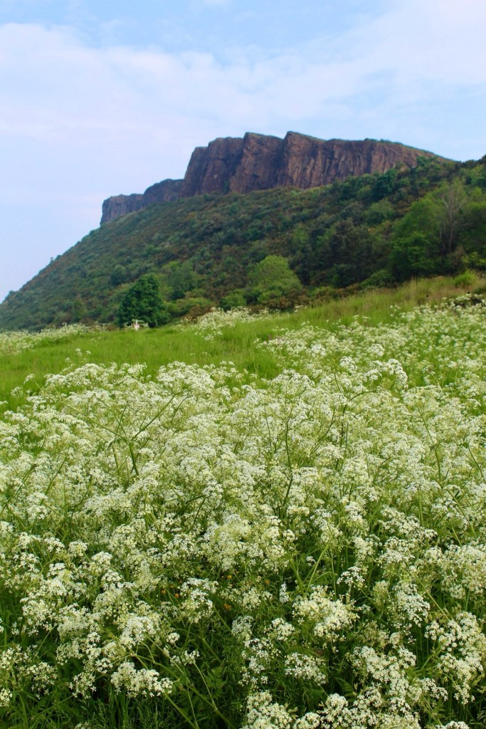 Sentier vers le sommet - Arthur seat - Blog au gré des continents 