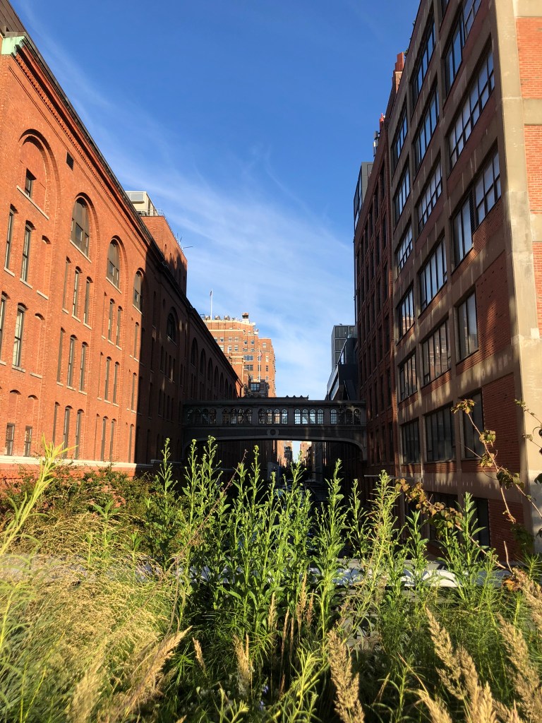 Déambulation Big Apple - High Line - Blog au gré des continents 