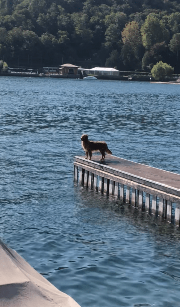 Promenade au bord du Lac - Côme - Blog au gré des continents 