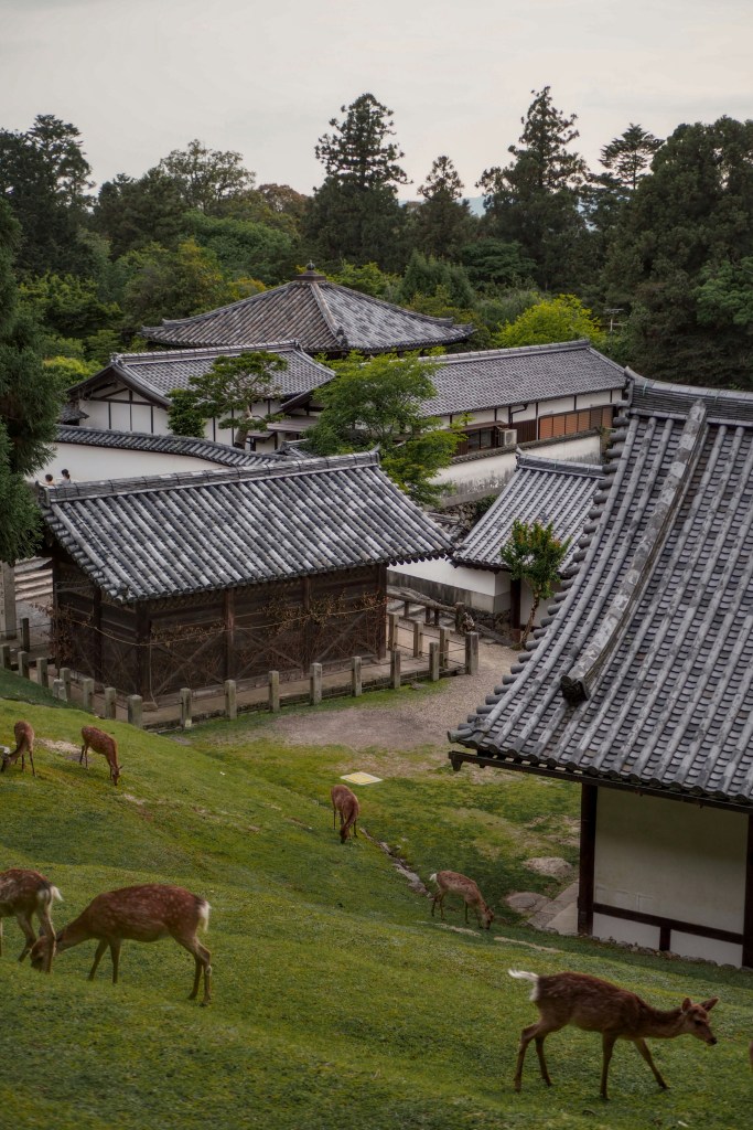 Découverte du pays du soleil levant - Temples japonais - Blog au gré des continents 