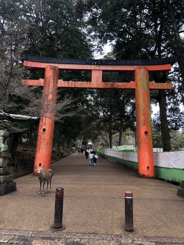 Voyage à Honshu - Immense torii - Blog au gré des continents 