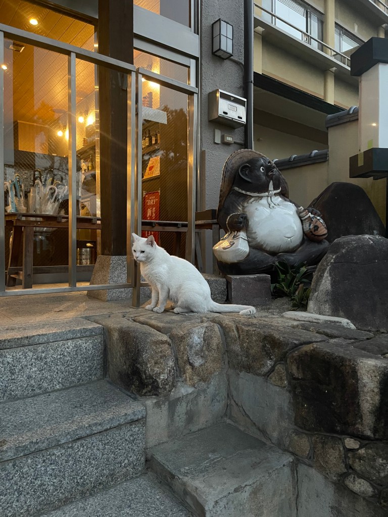 Chat devant le ryokan - Au gré des continents 
