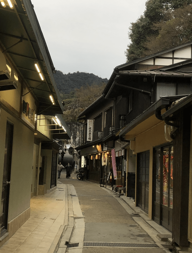 Voyage au Japon - Village de Miyajima - Blog au gré des continents 