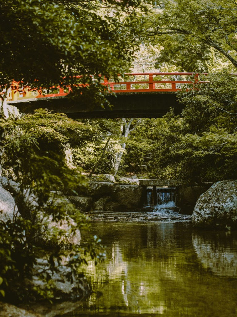Voyage à Honshu - Parc de Momijidani - Blog au gré des continents