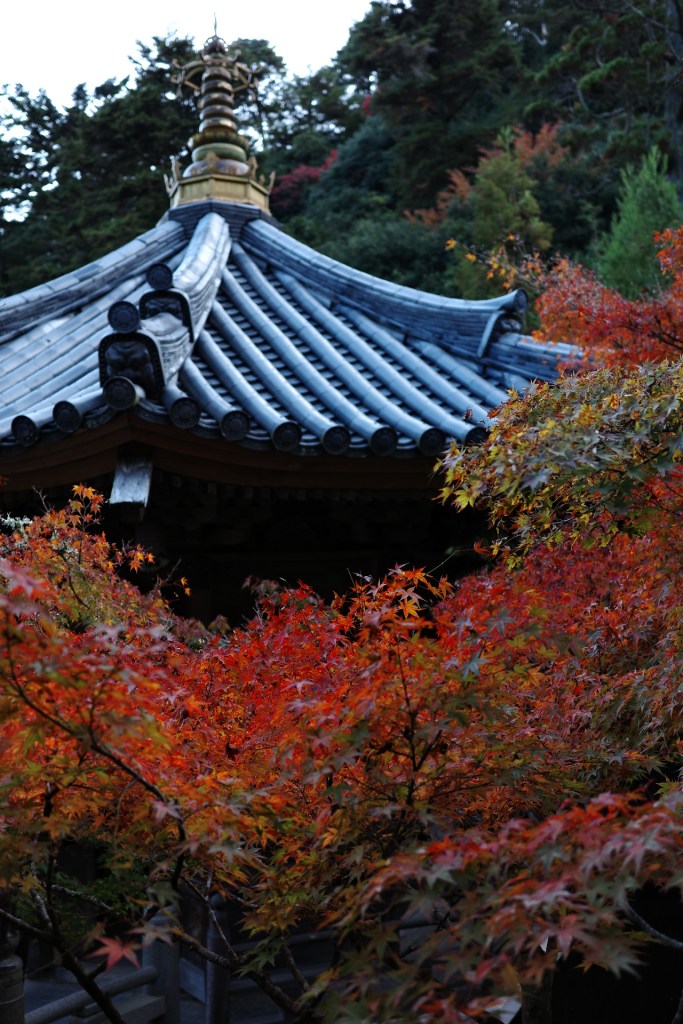 Le Japon en automne - Au gré des continents 