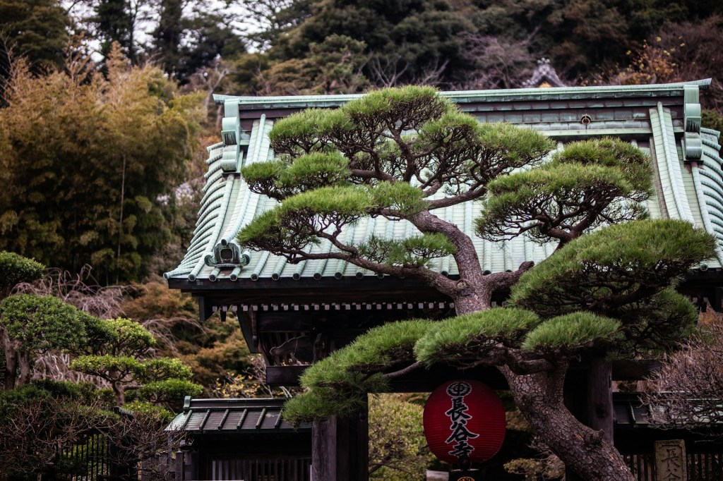 Exploration de Kamakura - Temple Hasedera - Blog au gré des continents