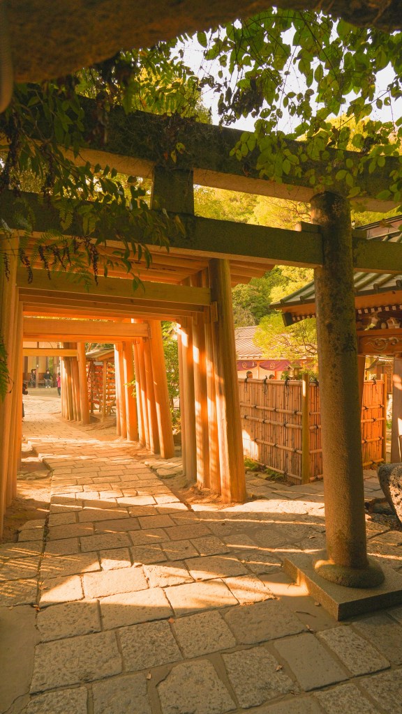 Découverte atypique à Kamakura - temple Zeniarai Benten - Blog au gré des continents