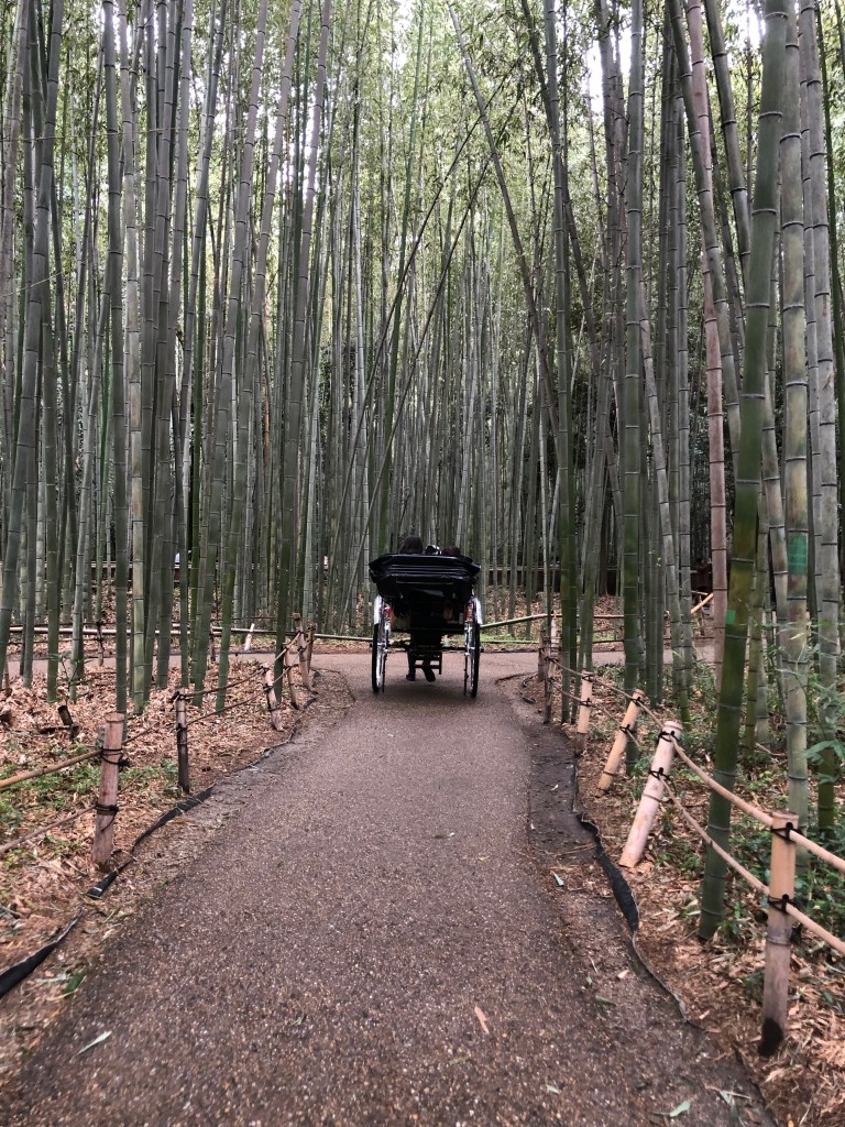 Voyage au Japon - pousse pousse dans une bambouseraie - Blog au gré des continents