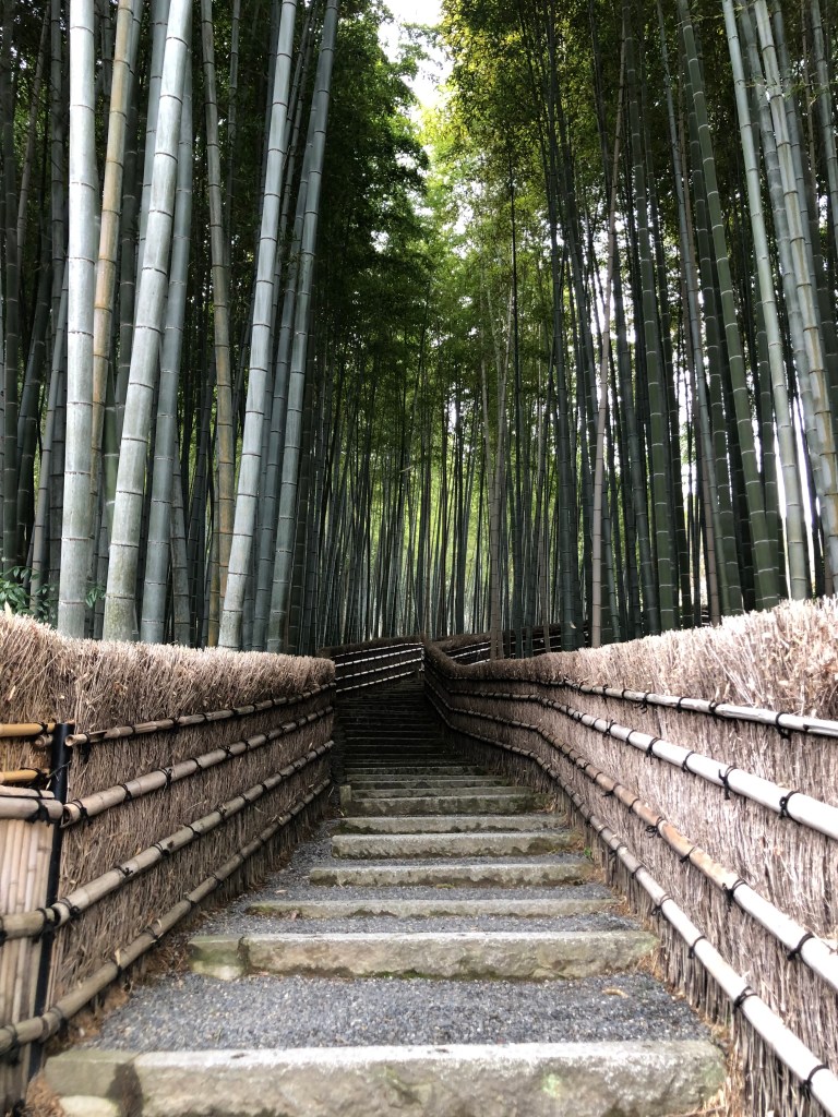 Voyage au pays du soleil levant - Bambouseraie - Blog au gré des continents