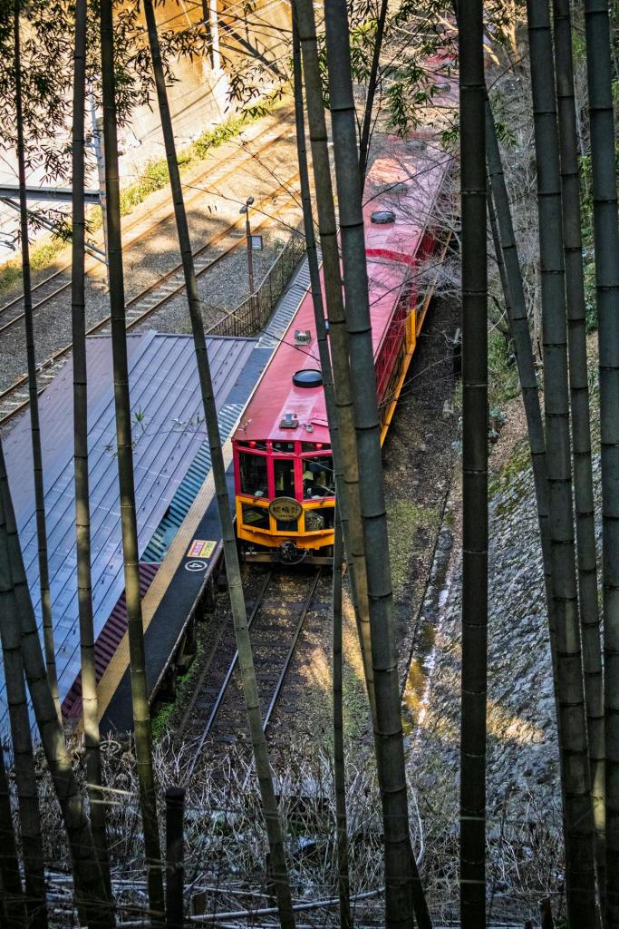Arashiyama hors des sentiers battus - Train rouge entre les bambous - Blog au gré des continents