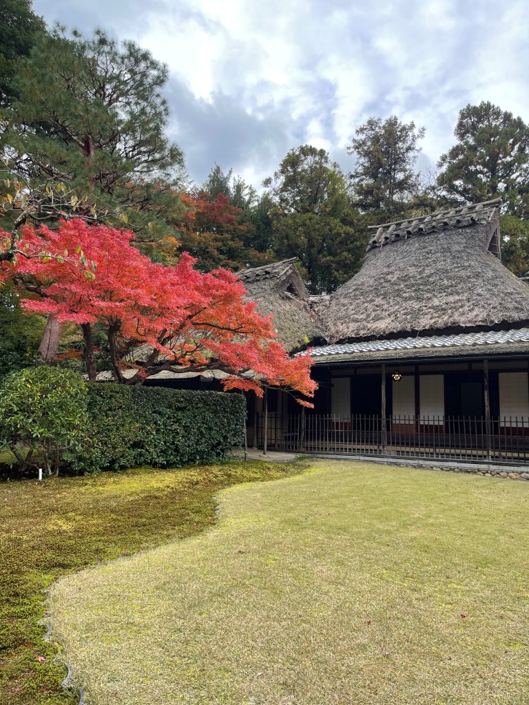L'automne au Japon - Nara - Au gré des continents