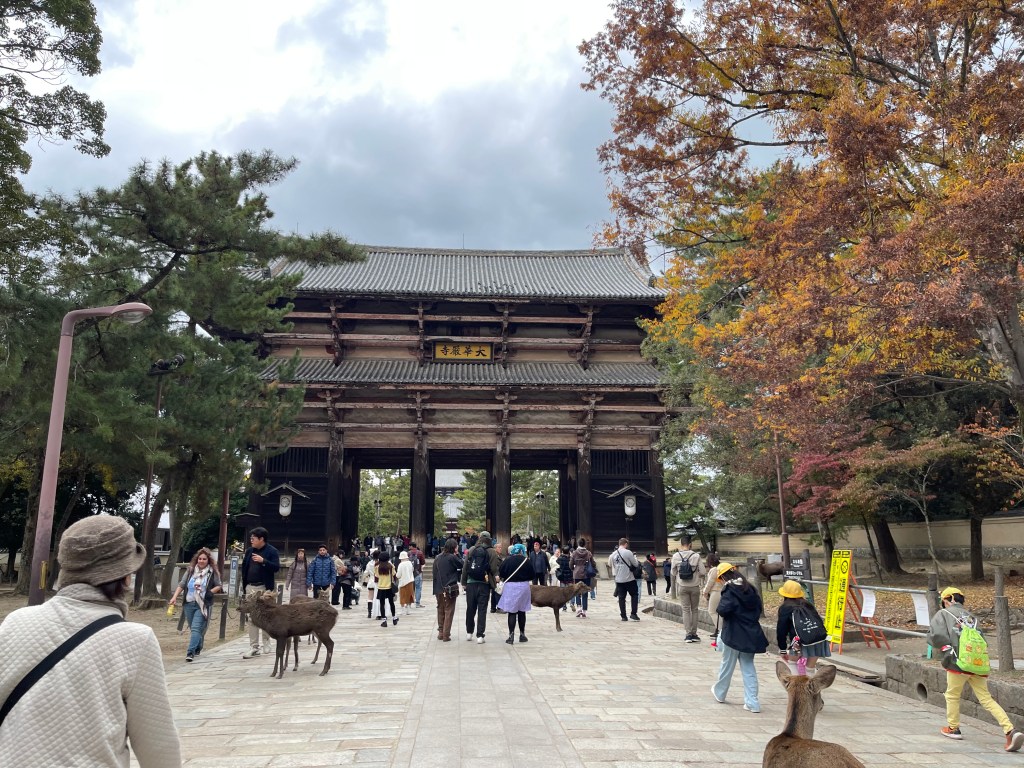 Dans le parc de Nara - Porte du Todai ji - Au gré des continents 