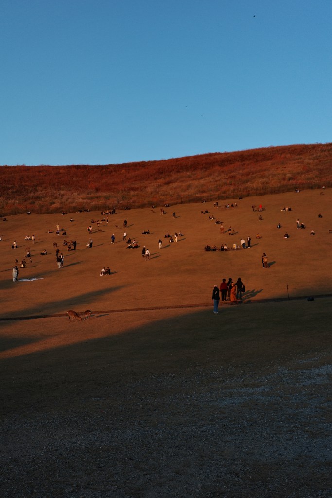 Coucher du soleil à Nara - Colline de Wakusayama - Au gré des continents 