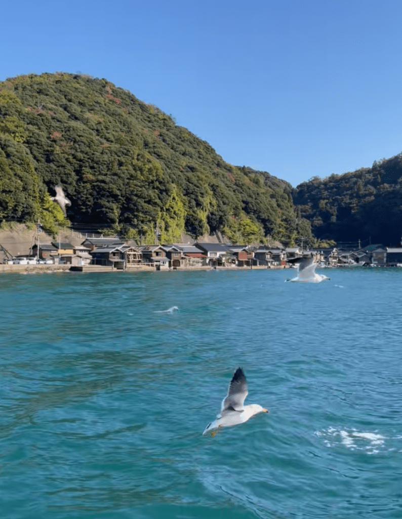 Le charme du bord de mer japonais - Au gré des continents 