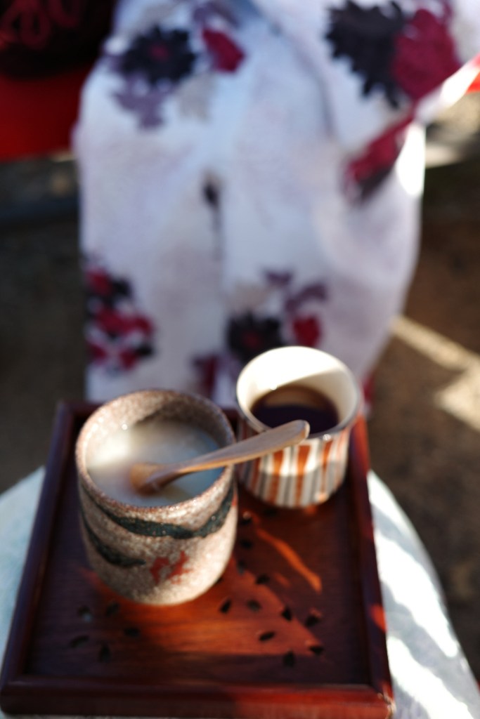 Goûter et amazake dans le parc de Maruyama - Au gré des continents 