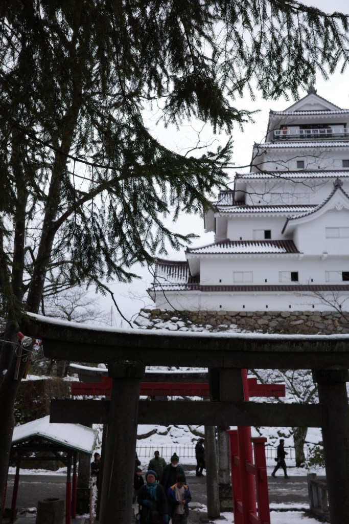 Torii devant le château de Tsuruga - Au gré des continents 