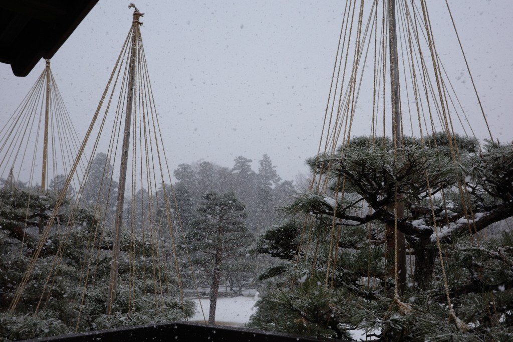 Yukitsuri dans un jardin japonais - Au gré des continents 