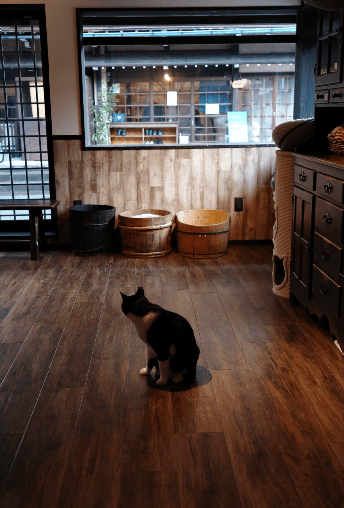 Silhouette de chat dans une maison traditionnelle à Takayama - Au gré des continents 