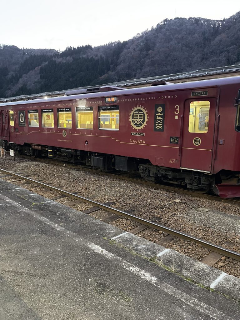 Un train dans les Alpes Japonaises - Au gré des continents 
